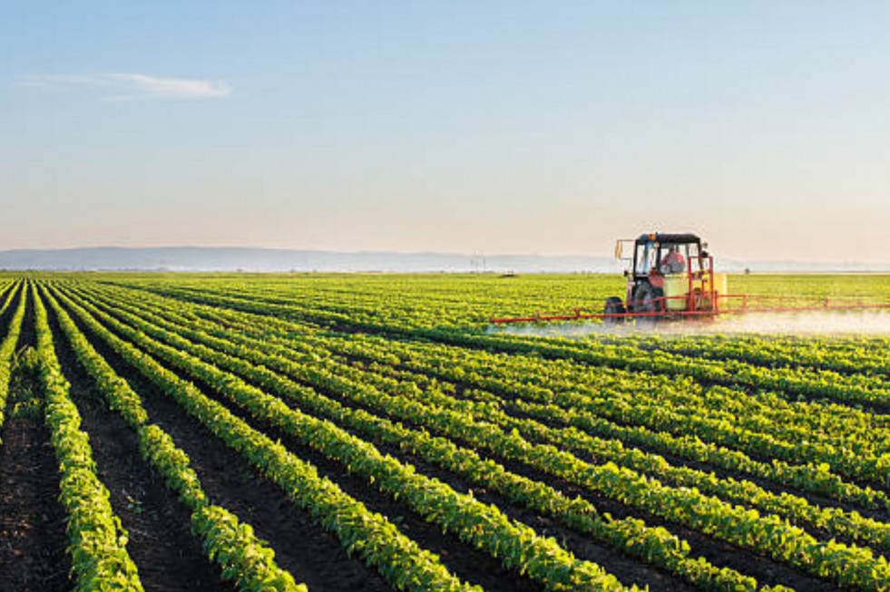 AGROALIMENTACIÓN