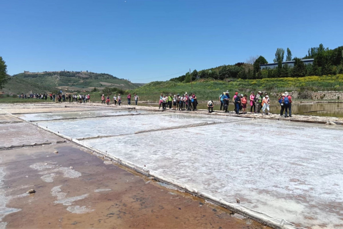 Salinas de medinaceli (2)