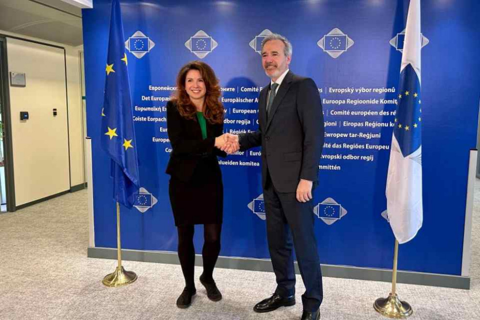 AZCÓN BRUSELAS