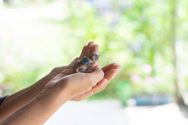 Istockphoto 2081281834 612x612