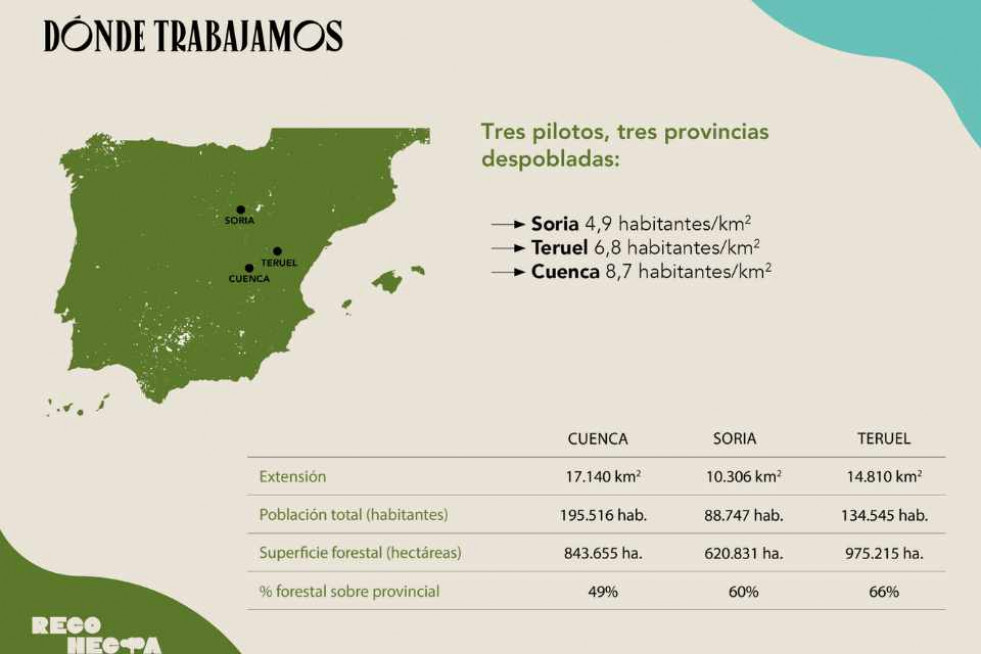 REFORESTA
