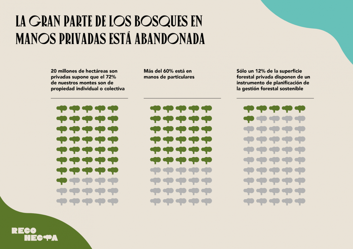 Bosques1
