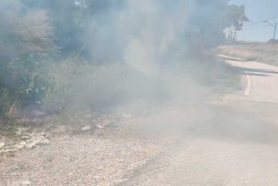 Incendio pelusas
