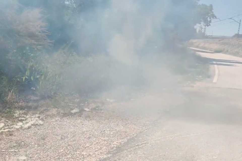 Incendio pelusas