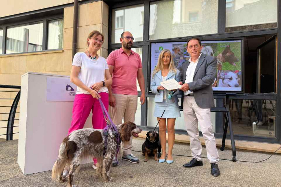 DIP SORIA PERROS