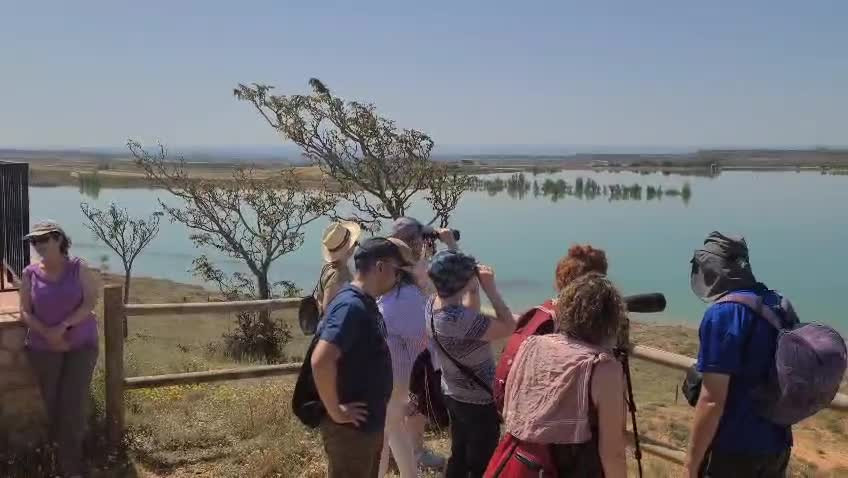 WhatsApp Video 2025 06 01 at 09.05.15