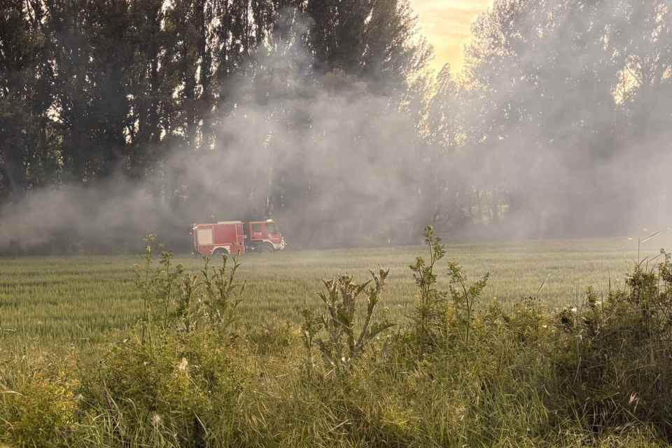 Incendio benamira