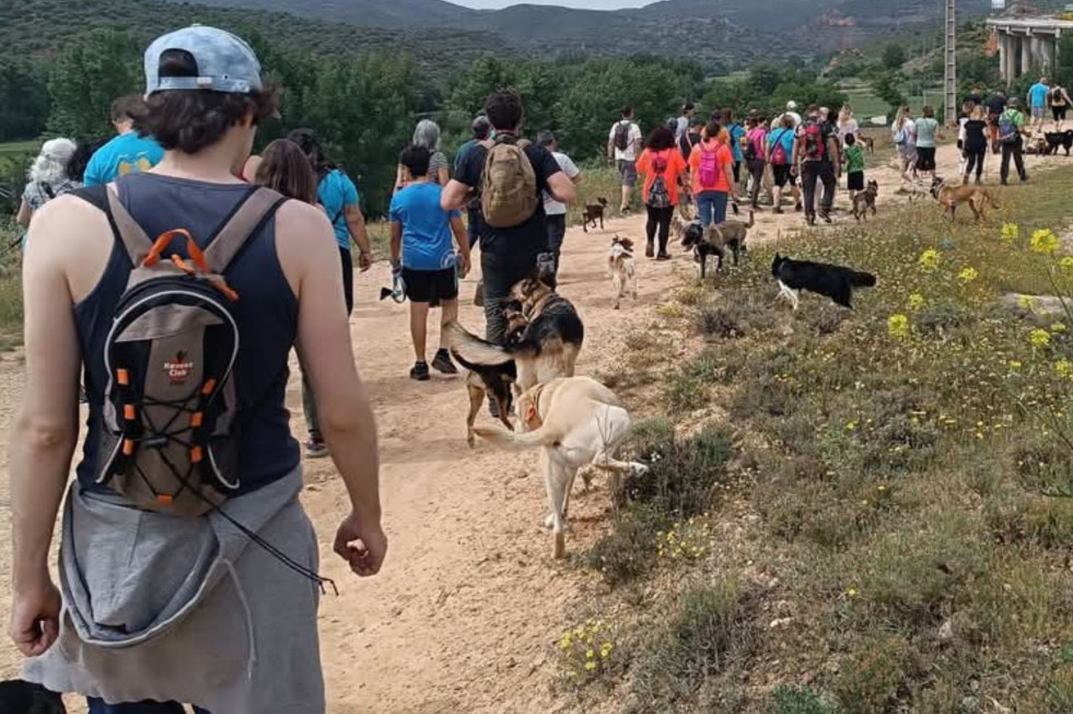 Perros