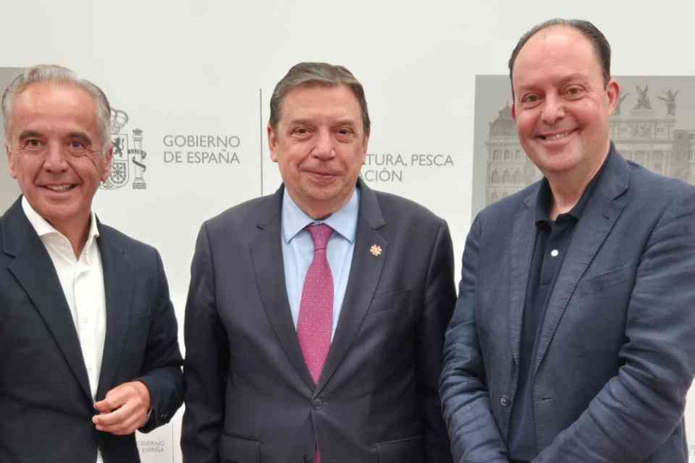 Ruiz de diego planas