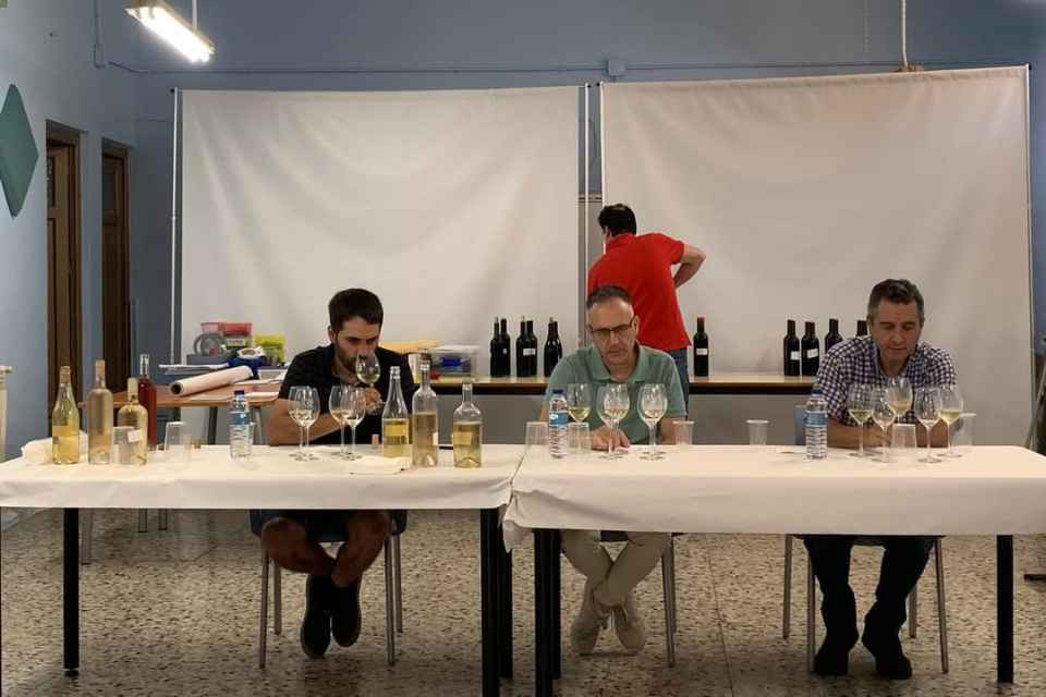 VINOS COMUNIDAD CALLATAYUD