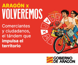 3. 300x250 BANNERS VOLVEREMOS 20253