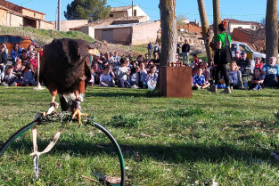 Espiritu animal rural