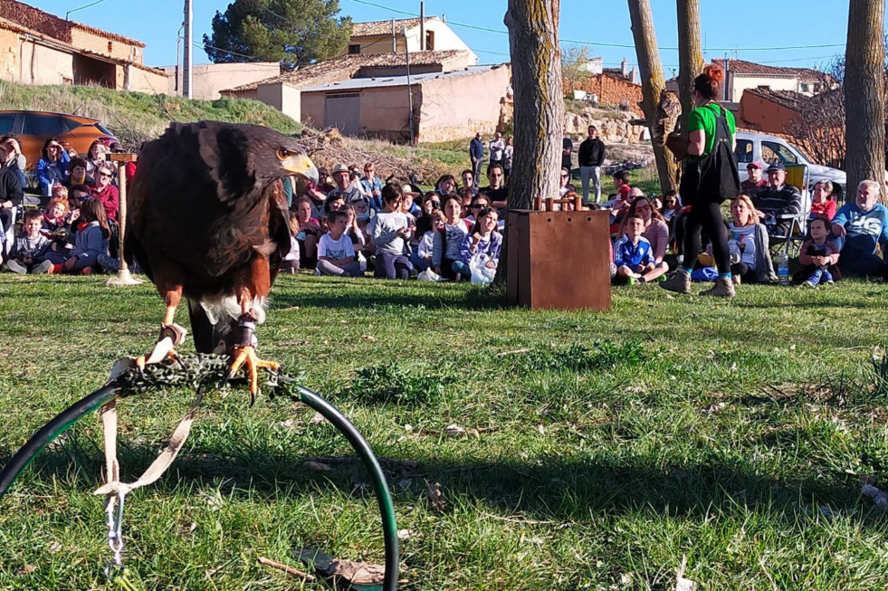Espiritu animal rural