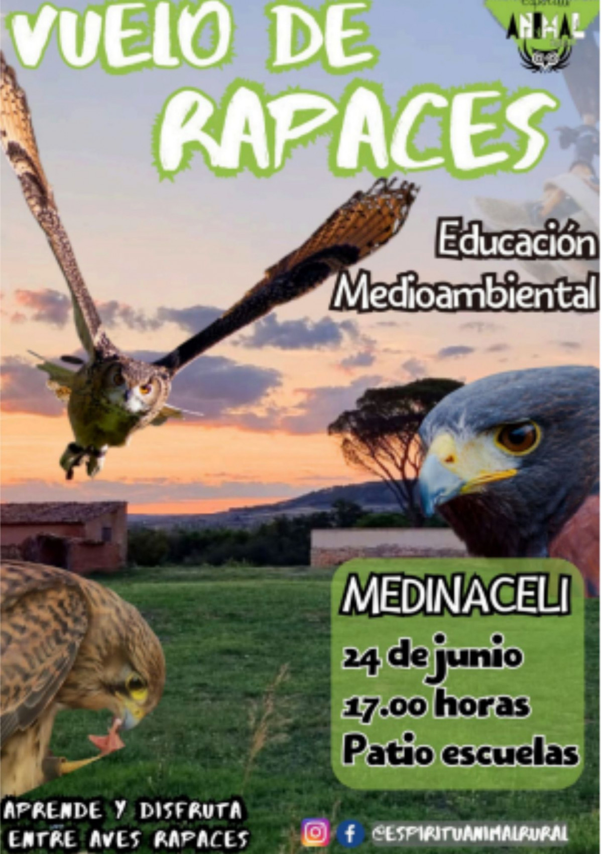 Vuelo espiritu animal rural