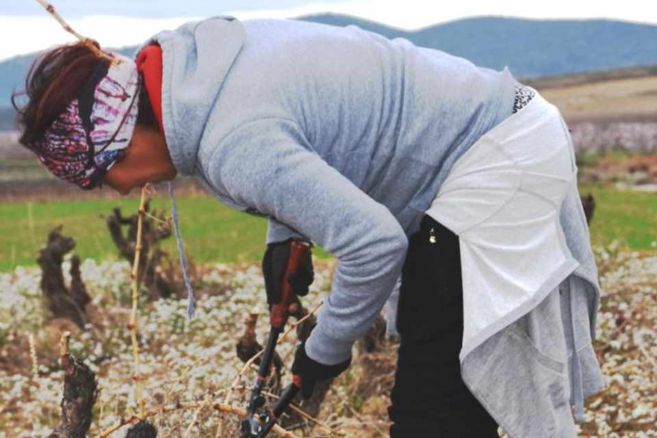 Agricultora
