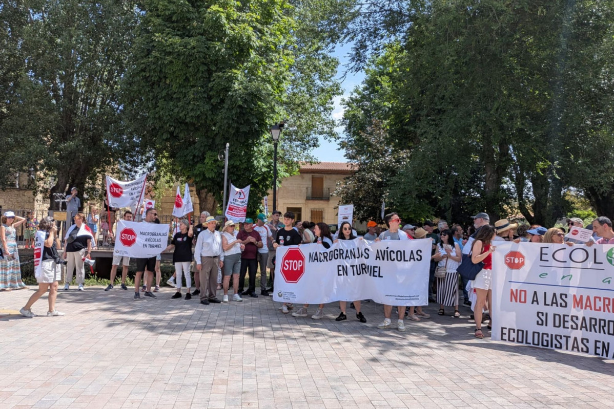 El valle del mesa en contra de las mocrogranjas (4)