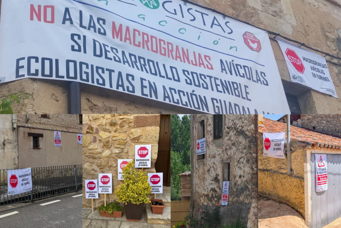El valle del mesa en contra de las mocrogranjas (1)