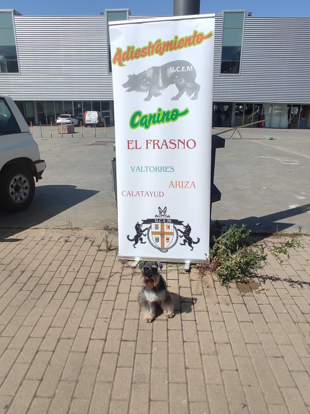 Adiestramiento canino ucem enrique molina (2)