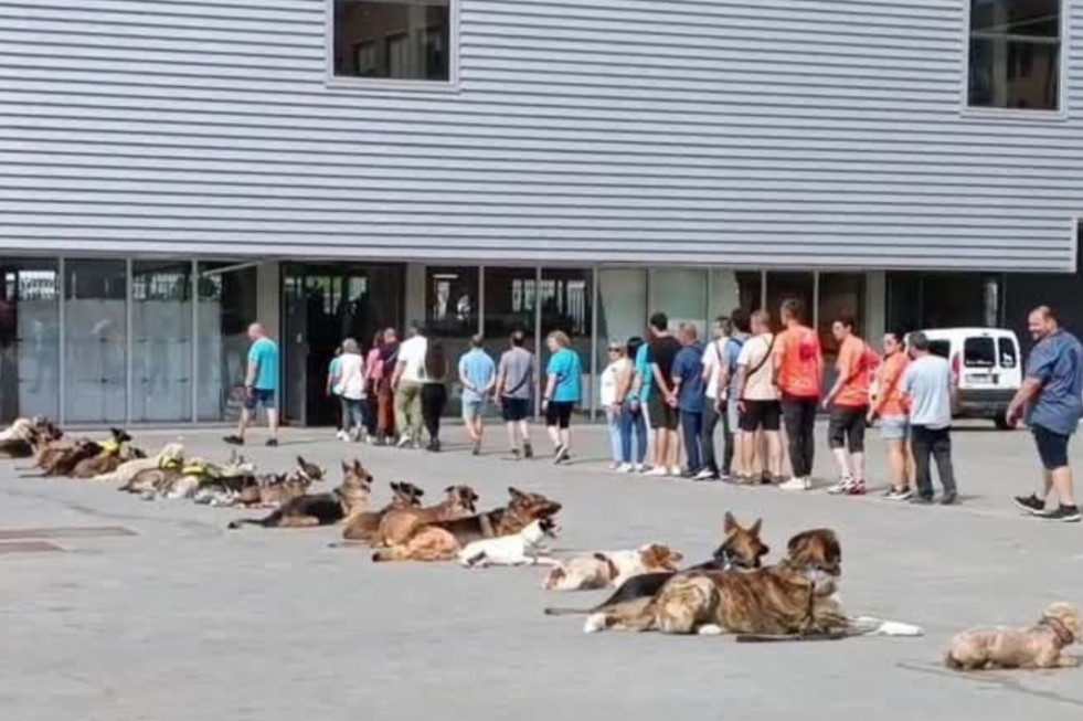 Adiestramiento canino ucem enrique molina (1)