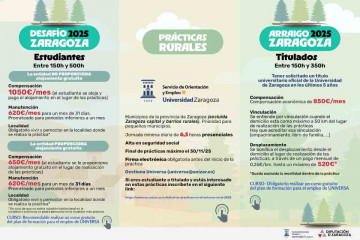 DESAFÍO ARRAIGO DPZ