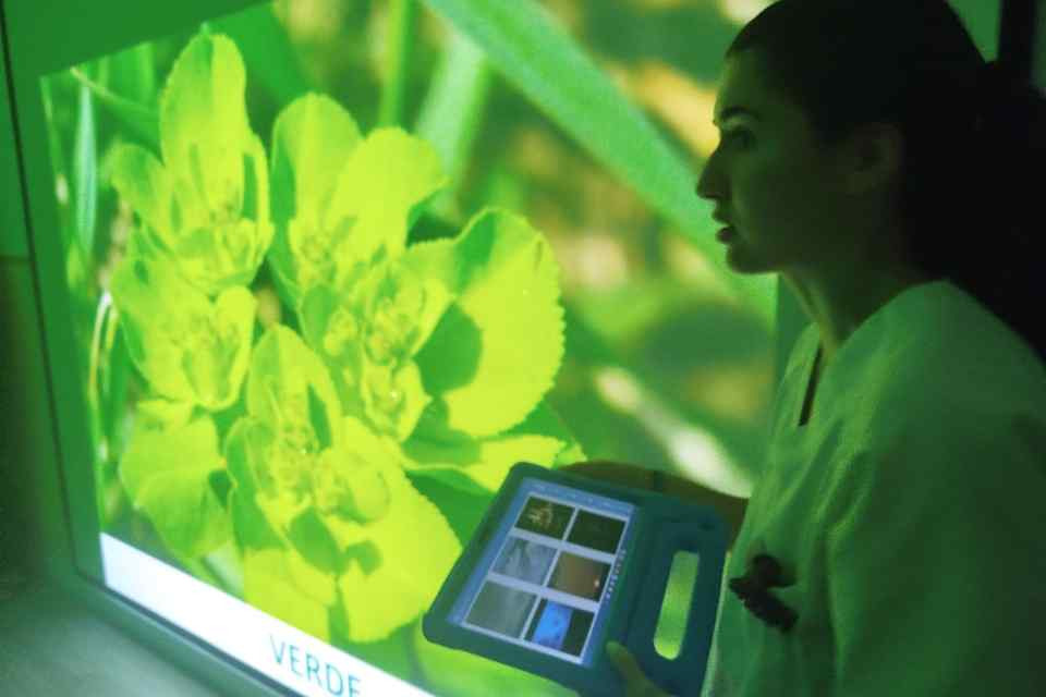 TECNOLOGu00cdAu00c7