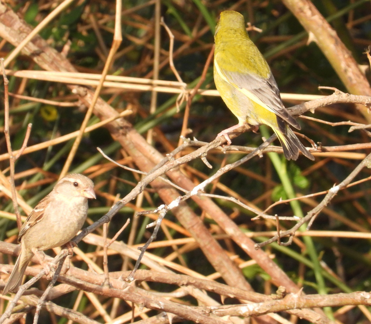 DSCN5846