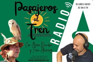 Pasajeros al tren verano25