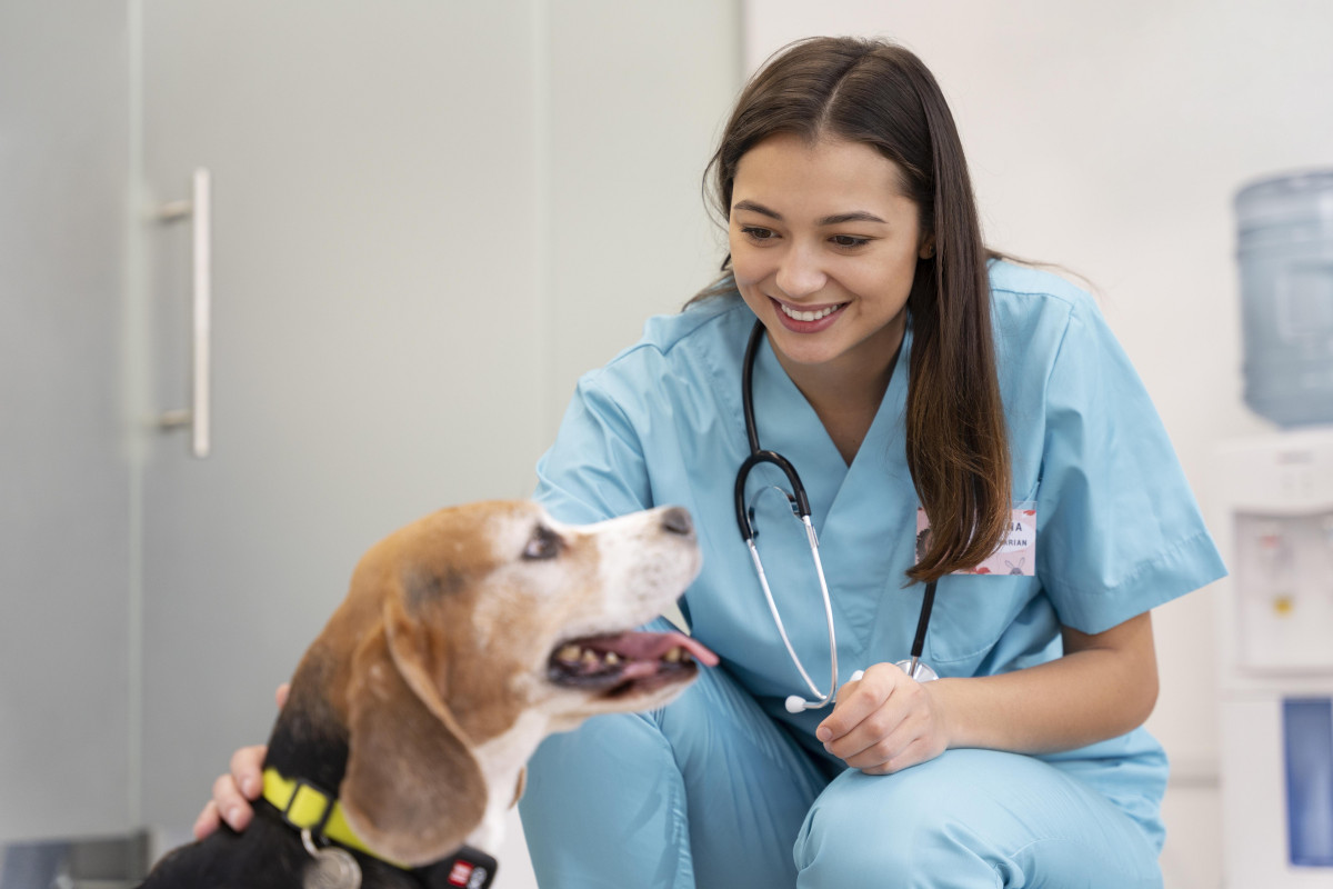 Veterinario de tiro medio y lindo perro (1)