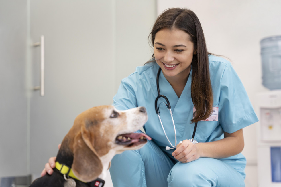 Veterinario de tiro medio y lindo perro (1)