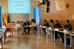 OBSERVATORIO AGRESIONES CYL
