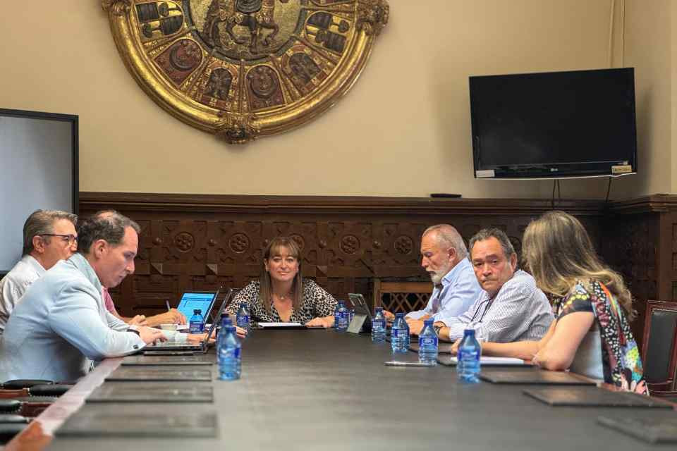 Junta gobierno dip soria