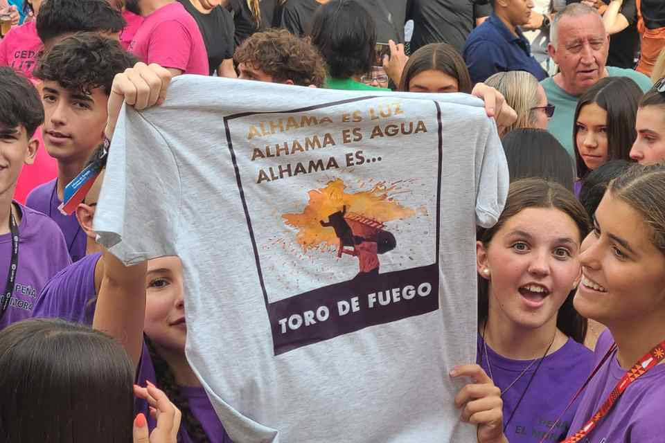 Amigos del toro de fuego