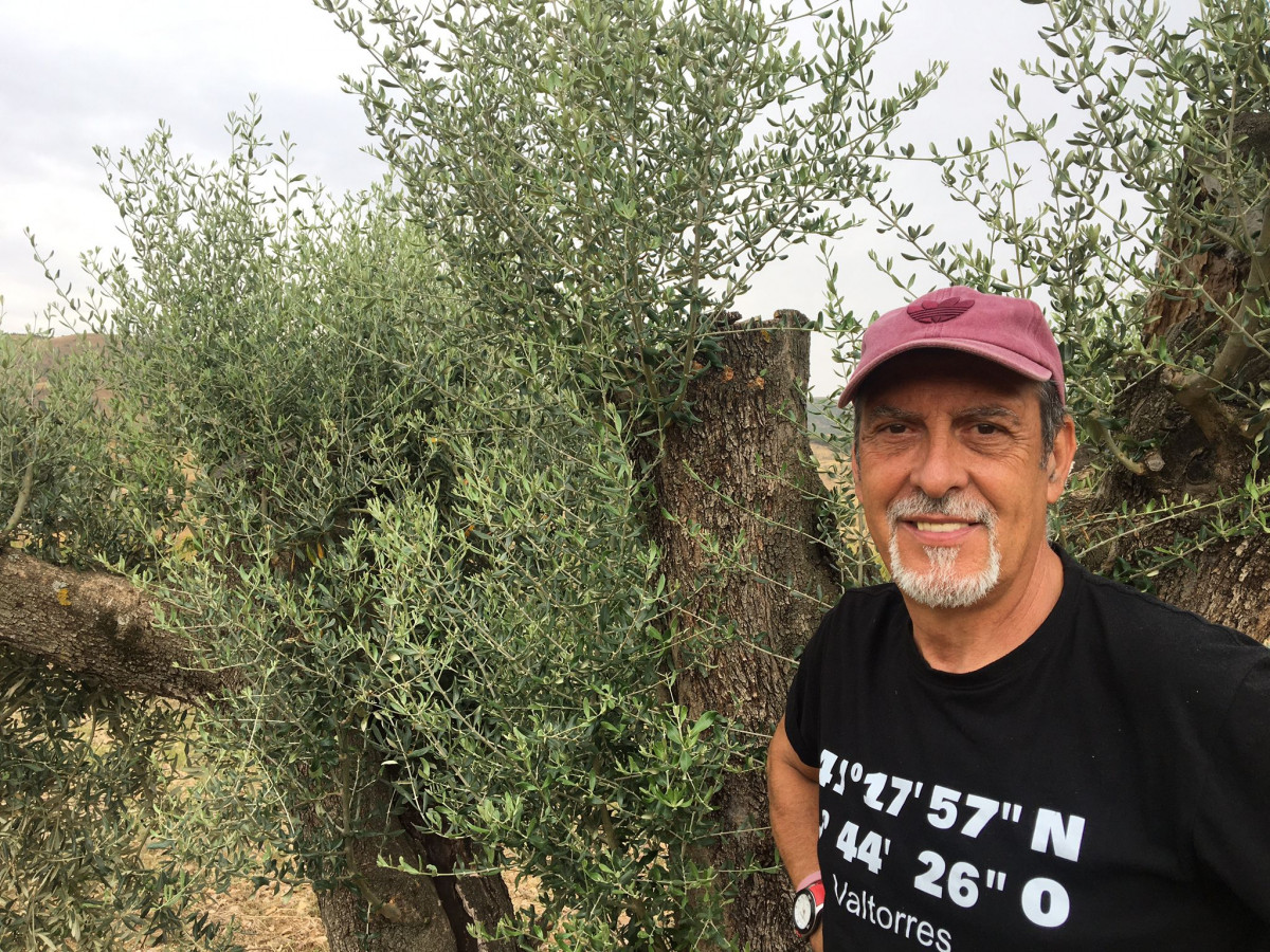 Los Frutos del Tiempo 4 Estoesloquehay