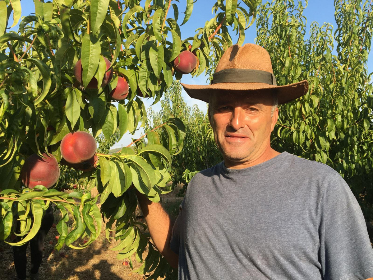 Los Frutos del Tiempo 2 Estoesloquehay