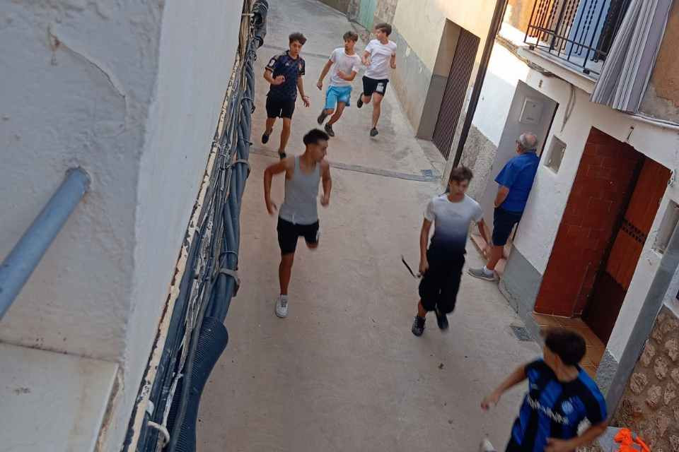 Vaquillas ibdes