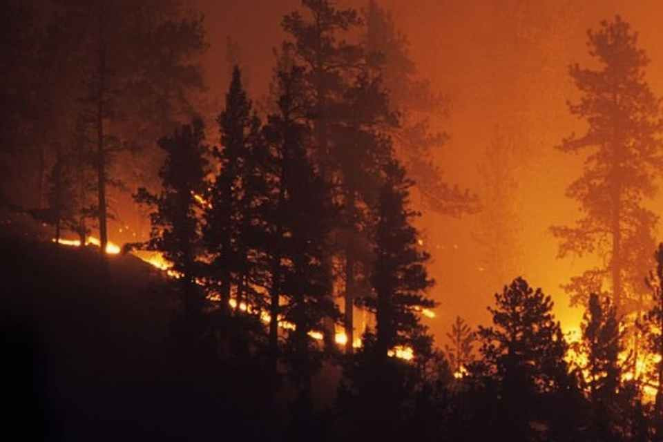 Incendio forestal