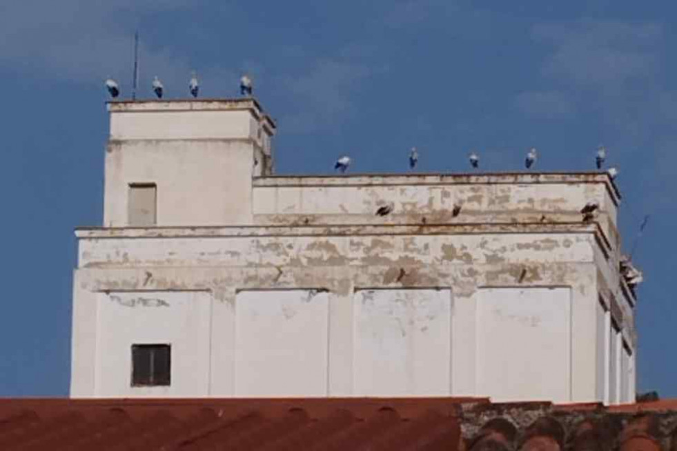 CIGÜEÑAS MEDINACELI