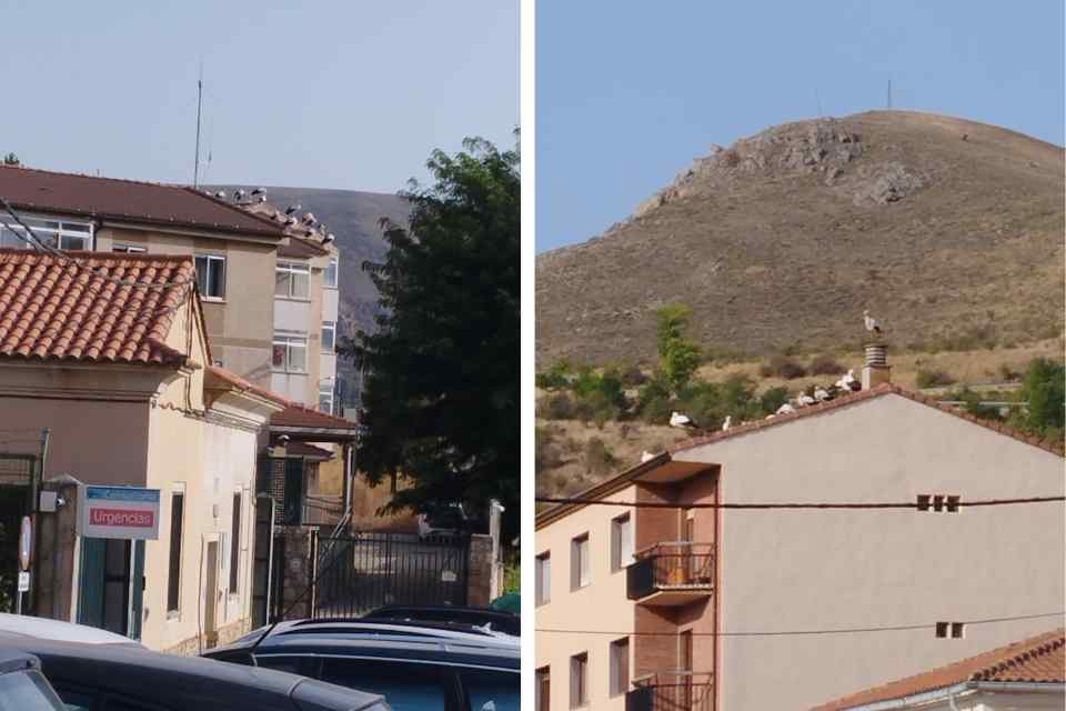CIGU