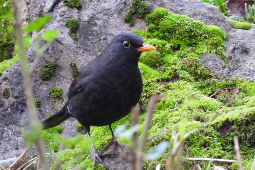 976 840 472 646 082 230 (22)