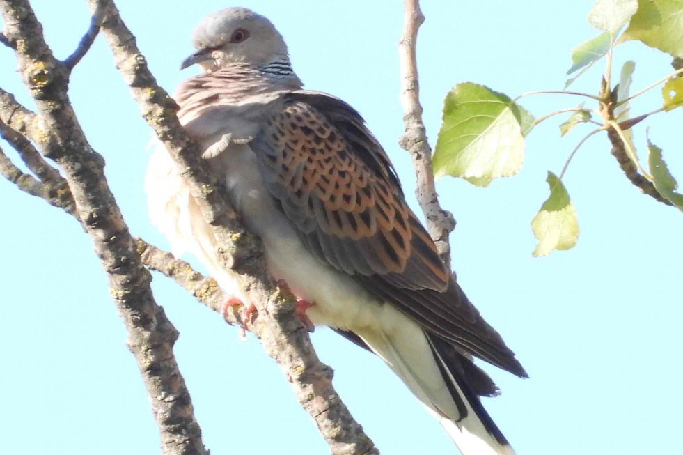 976 840 472 646 082 230 (91)