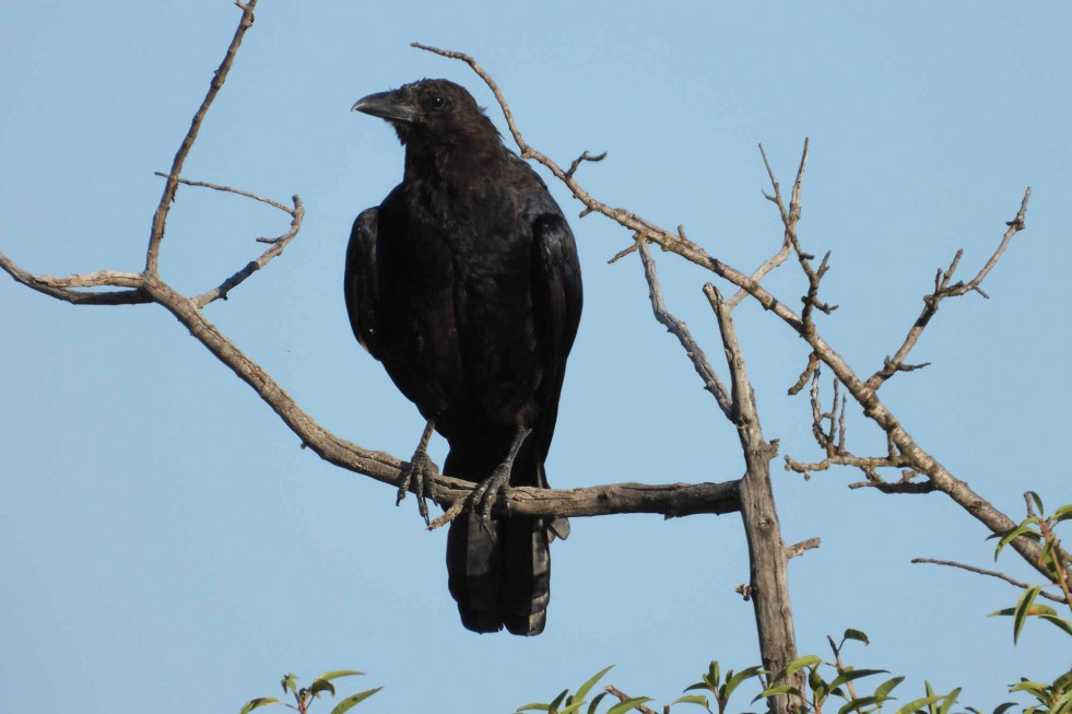 976 840 472 646 082 230 (7)